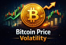 Bitcoin price volatility